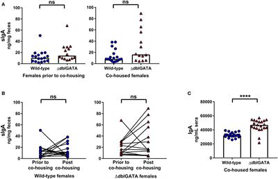 Littermate-Controlled Experiments Reveal Eosinophils Are Not Essential for Maintaining Steady-State IgA and Demonstrate the Influence of Rearing Conditions on Antibody Phenotypes in Eosinophil-Deficient Mice